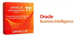 1413792837_oracle-business-intelligence